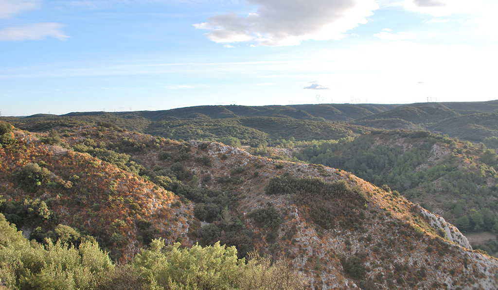 parc naturel de Saint Victor la Coste