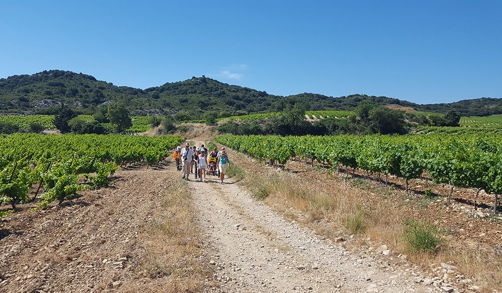 tavel traversée des terroirs