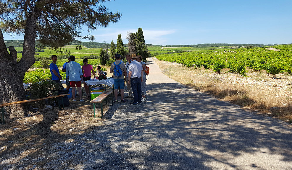 tavel traversée des terroirs