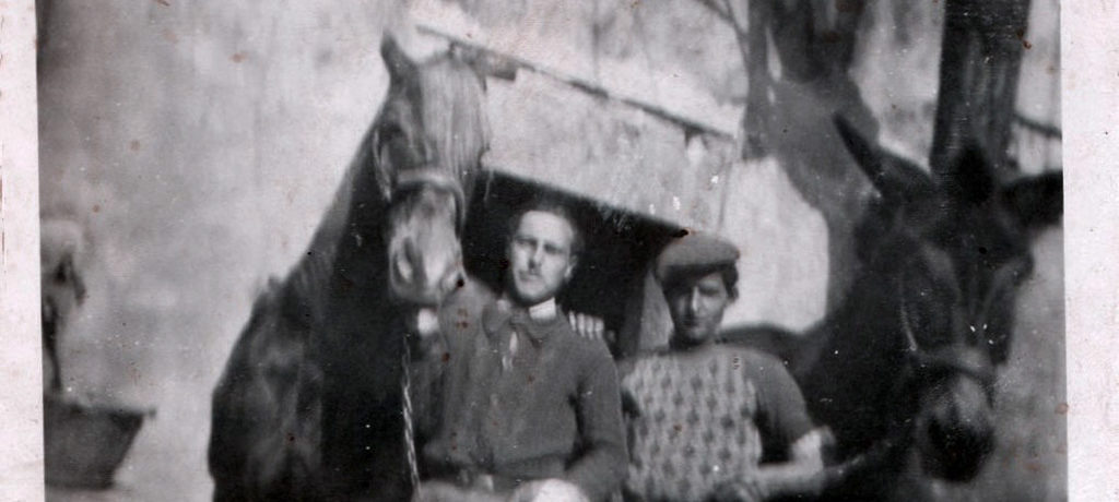 Aimé & Eugène préparent les mules pour la vendange