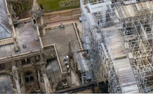 ruches sur la cathédrale de paris